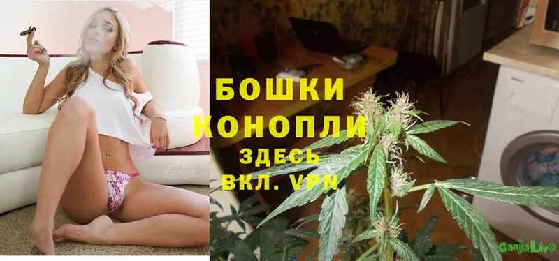 купить наркоту  мега вход  Конопля Ganja  Приморско-Ахтарск 